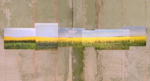 Susanne Gabler: Monokultur