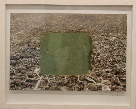 Barbara Karsch-Chaïeb