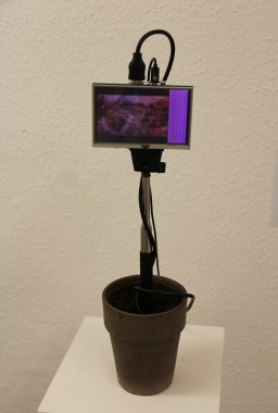 Oliver Orthuber, "Blumenmaschine"