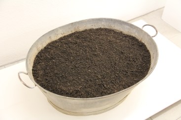 Barbara Neumann-Cleve