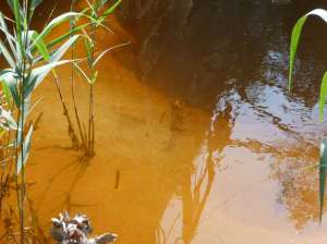 Tom Albrecht, Group Global 3000, Spreebraun, Das Wasser war rein und klar